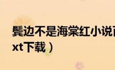 鬓边不是海棠红小说百度（鬓边不是海棠红txt下载）