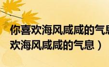 你喜欢海风咸咸的气息 P.W.W.画风风（你喜欢海风咸咸的气息）