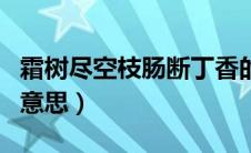霜树尽空枝肠断丁香的意思是（霜树尽空枝的意思）