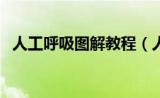 人工呼吸图解教程（人工呼吸的步骤图解）