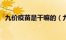 九价疫苗是干嘛的（九价疫苗是干什么的）