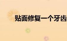 贴面修复一个牙齿要多少钱（贴面）