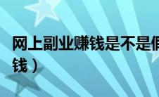 网上副业赚钱是不是假的（网上副业做什么赚钱）