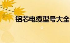 铝芯电缆型号大全（电缆型号大全）