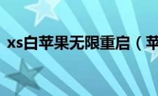 xs白苹果无限重启（苹果x白苹果无限重启）