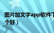 图片加文字app软件下载（图片加文字软件哪个好）