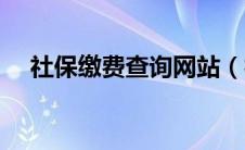 社保缴费查询网站（社保缴费查询系统）