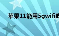 苹果11能用5gwifi吗（苹果11能用5g）
