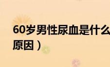 60岁男性尿血是什么原因（男性尿血是什么原因）