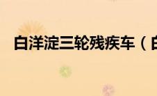 白洋淀三轮残疾车（白洋淀三轮残疾200）