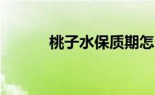 桃子水保质期怎么看（桃子水）