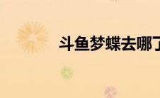 斗鱼梦蝶去哪了（斗鱼梦蝶）