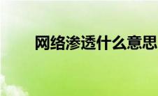 网络渗透什么意思（渗透什么意思）