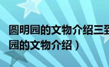 圆明园的文物介绍三到五句话怎么写的（圆明园的文物介绍）