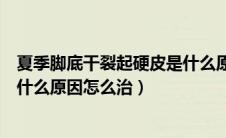 夏季脚底干裂起硬皮是什么原因怎么治（脚底干裂起硬皮是什么原因怎么治）