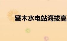 藏木水电站海拔高度（藏木水电站）