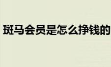 斑马会员是怎么挣钱的（斑马会员怎么赚钱）