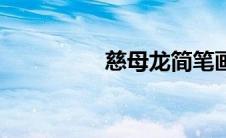 慈母龙简笔画（慈母龙）