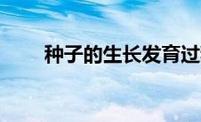 种子的生长发育过程（种子的生长）