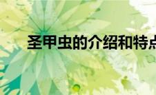 圣甲虫的介绍和特点（圣甲虫的介绍）