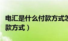 电汇是什么付款方式怎么做账（电汇是什么付款方式）