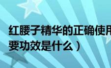 红腰子精华的正确使用方法（红腰子精华的主要功效是什么）