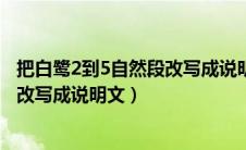 把白鹭2到5自然段改写成说明文200字（把白鹭2到5自然段改写成说明文）