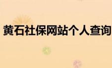 黄石社保网站个人查询（黄石社保查询系统）