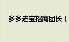 多多进宝招商团长（多多金宝招商团长）