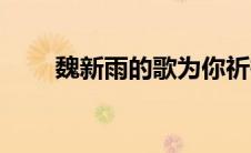 魏新雨的歌为你祈祷（魏新雨的歌）