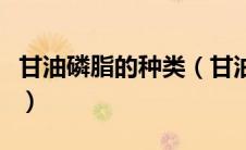 甘油磷脂的种类（甘油磷脂的分类及生理功能）