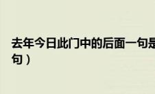 去年今日此门中的后面一句是什么（去年今日此门中的下一句）