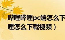 哔哩哔哩pc端怎么下载视频（电脑版哔哩哔哩怎么下载视频）