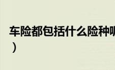 车险都包括什么险种呢（车险都包括什么险种）