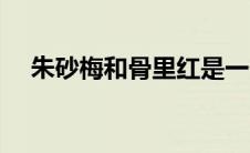 朱砂梅和骨里红是一个品种吗（朱砂梅）