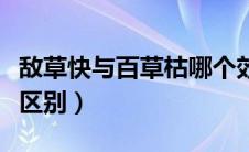 敌草快与百草枯哪个效果好（敌草快和百草枯区别）