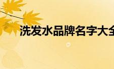 洗发水品牌名字大全（品牌名字大全）