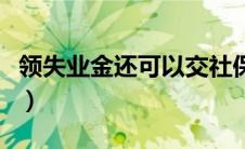 领失业金还可以交社保吗（社保失业金怎么算）
