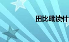 田比毗读什么（田比）