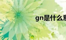 gn是什么意思（gn）
