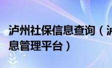 泸州社保信息查询（泸州社会保险统一征收信息管理平台）