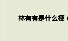 林有有是什么梗（林有有什么梗）