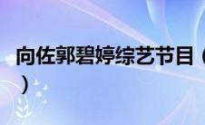 向佐郭碧婷综艺节目（向佐郭碧婷综艺叫什么）