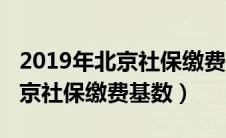2019年北京社保缴费基数表图片（2019年北京社保缴费基数）