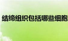 结缔组织包括哪些细胞（结缔组织包括哪些）