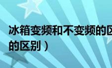 冰箱变频和不变频的区别（冰箱变频与不变频的区别）