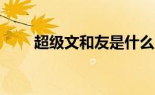 超级文和友是什么（文和友是什么）