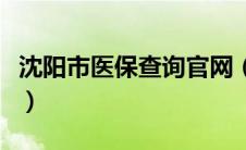 沈阳市医保查询官网（沈阳医疗保险查询中心）