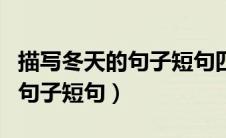 描写冬天的句子短句四年级下册（描写冬天的句子短句）