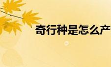 奇行种是怎么产生的（奇行种）